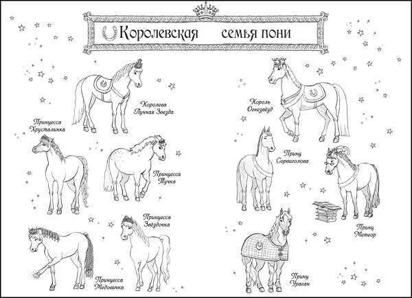 Волшебная встреча Волшебная встреча