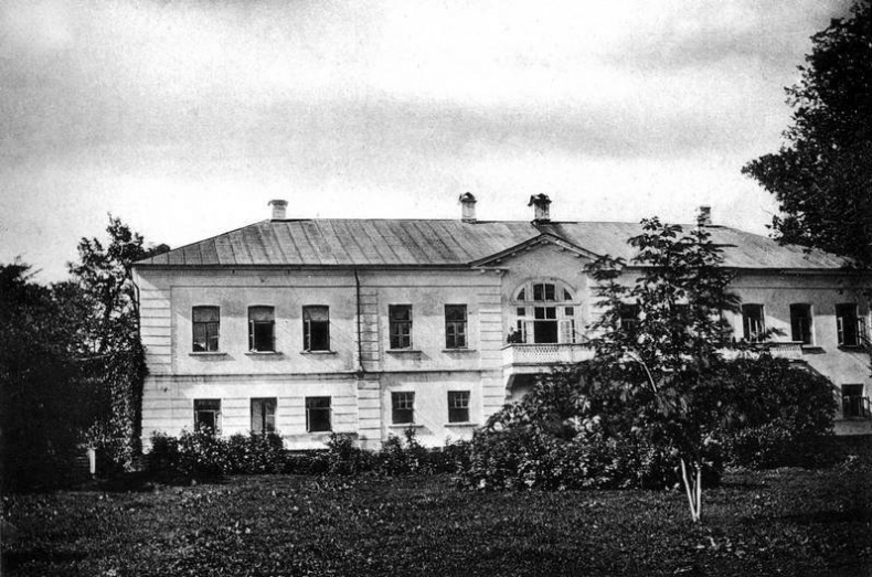 Лев в тени Льва Лев в тени Льва