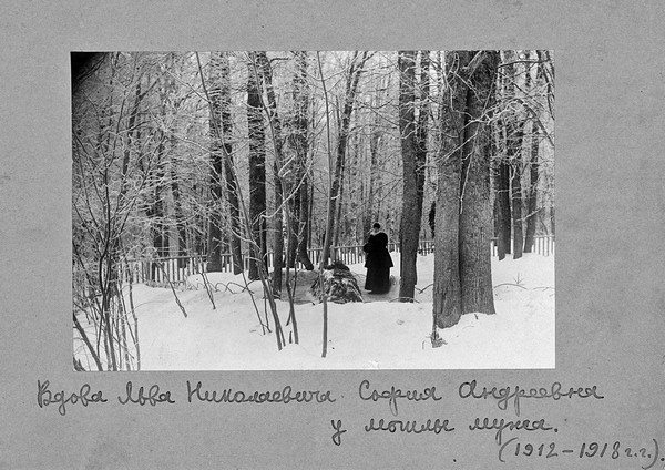 Святой против Льва. Иоанн Кронштадтский и Лев Толстой. История одной вражды Святой против Льва. Иоанн Кронштадтский и Лев Толстой. История одной вражды