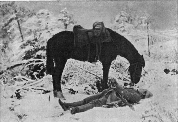 Генерал Брусилов. Лучший полководец Первой Мировой войны Генерал Брусилов. Лучший полководец Первой Мировой войны