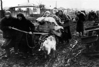 Жуков против Гальдера. Схватка военных гениев Жуков против Гальдера. Схватка военных гениев