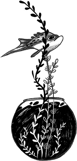 Книга всех вещей Книга всех вещей