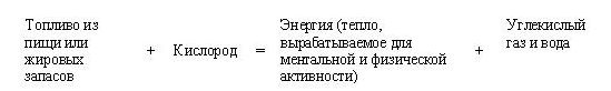 Сова была раньше дочкой пекаря. Ожирение, нервная анорексия и подавленная женственность