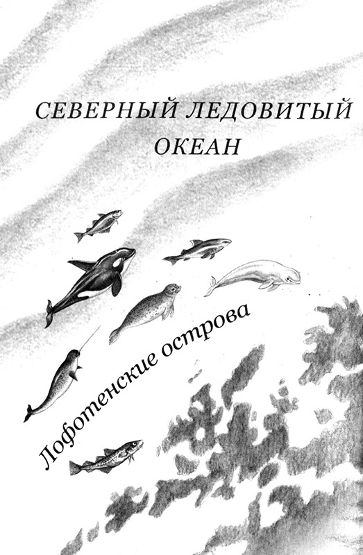 Приключения маленькой трески Приключения маленькой трески