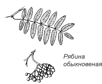 Походная книга Муми-тролля Походная книга Муми-тролля