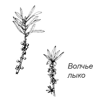 Походная книга Муми-тролля Походная книга Муми-тролля