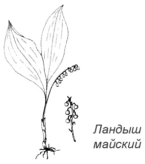 Походная книга Муми-тролля Походная книга Муми-тролля