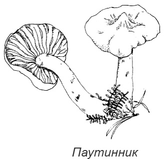 Походная книга Муми-тролля Походная книга Муми-тролля
