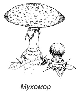 Походная книга Муми-тролля Походная книга Муми-тролля