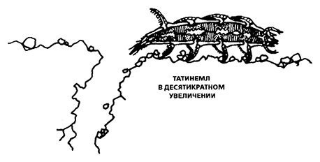 Планиверсум. Виртуальный контакт с двухмерным миром Планиверсум. Виртуальный контакт с двухмерным миром