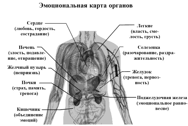 Без революций. Работаем над собой, оставаясь в гармонии Без революций. Работаем над собой, оставаясь в гармонии
