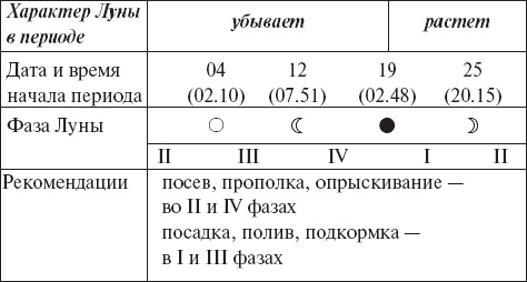 Виноград без труда Виноград без труда