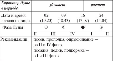 Виноград без труда Виноград без труда
