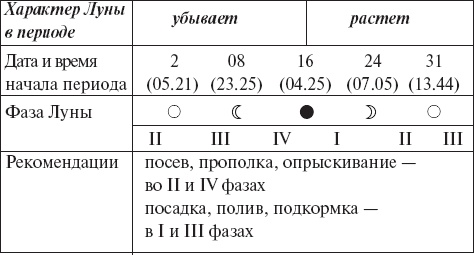 Виноград без труда Виноград без труда