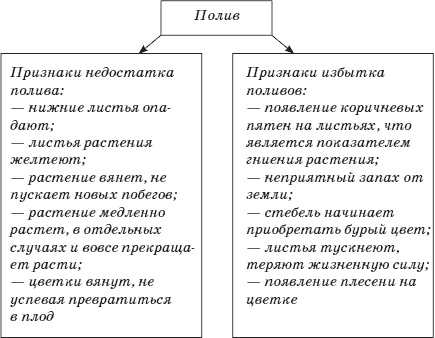 Огород у вас дома Огород у вас дома