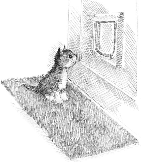 Котенок пират, или Ловкий коготь Котенок пират, или Ловкий коготь