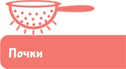 Как устроен человек Как устроен человек
