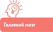 Как устроен человек Как устроен человек