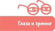 Как устроен человек Как устроен человек