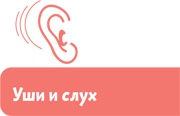 Как устроен человек Как устроен человек
