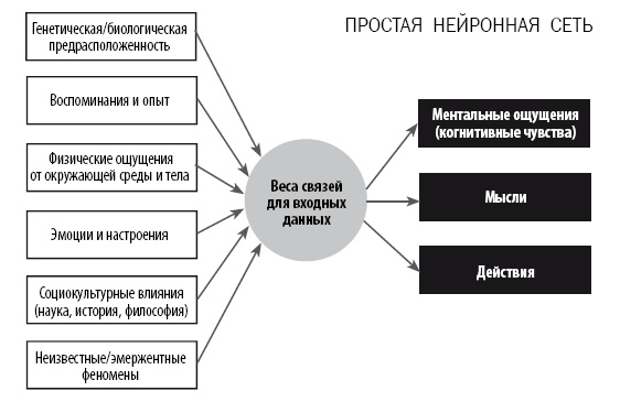 Разум VS Мозг. Разговор на разных языках Разум VS Мозг. Разговор на разных языках