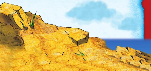 Морской дозор Морской дозор