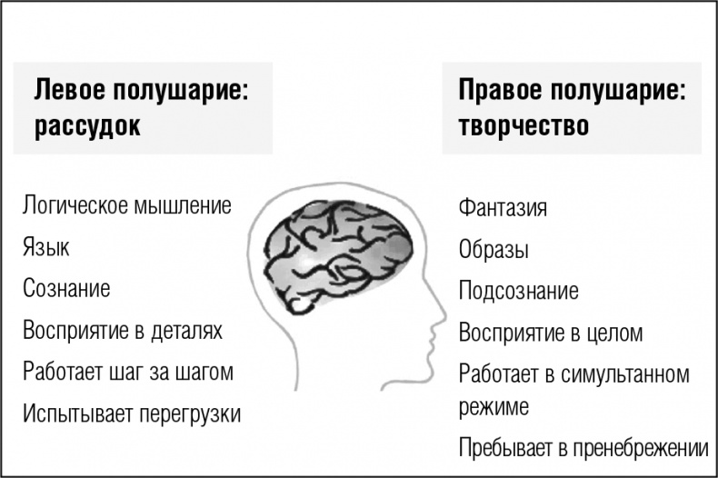 Память. Тренируй и совершенствуй! Память. Тренируй и совершенствуй!