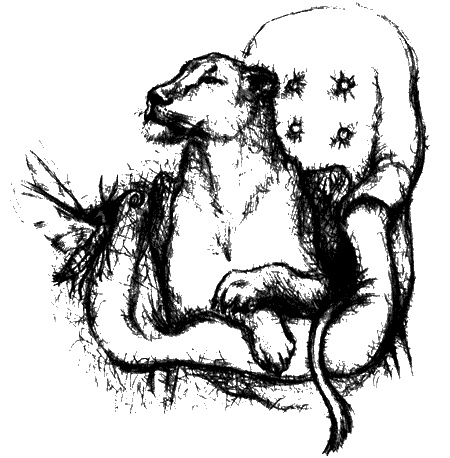Цветник бабушки Корицы Цветник бабушки Корицы