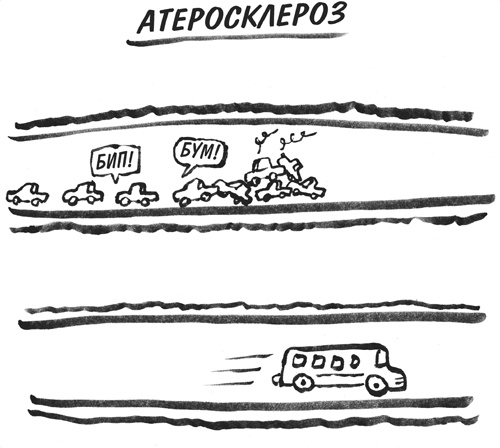 Стареть не обязательно! Будь вечно молодым, или Сделай для этого всё возможное Стареть не обязательно! Будь вечно молодым, или Сделай для этого всё возможное