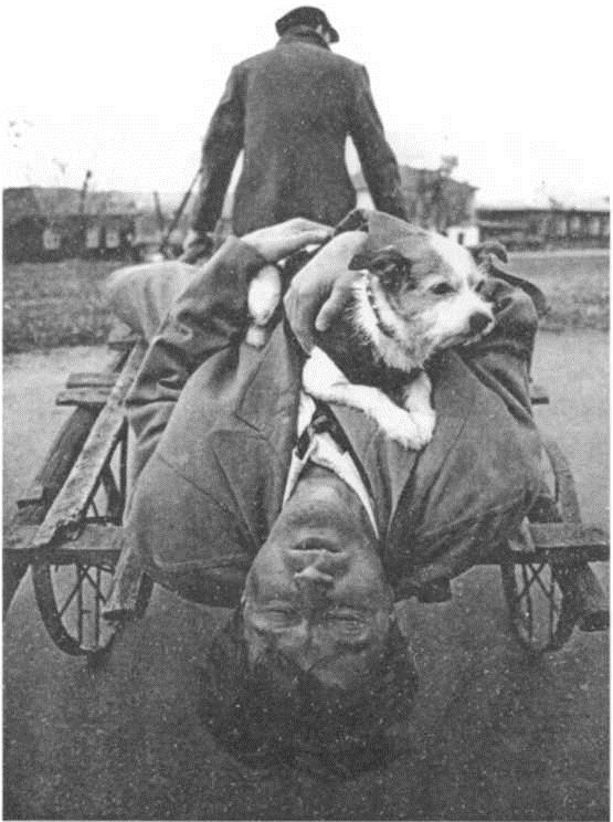Красная звезда, желтая звезда Красная звезда, желтая звезда