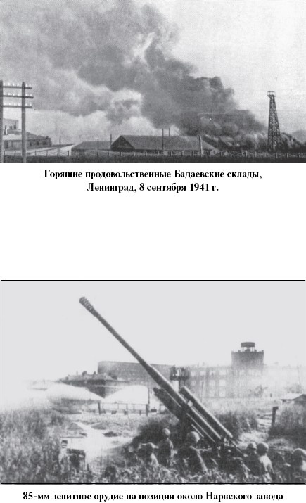 Цель – корабли. Противостояние Люфтваффе и советского Балтийского флота Цель – корабли. Противостояние Люфтваффе и советского Балтийского флота