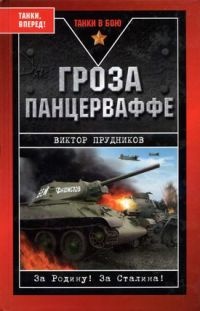 Гроза панцерваффе - Виктор Прудников