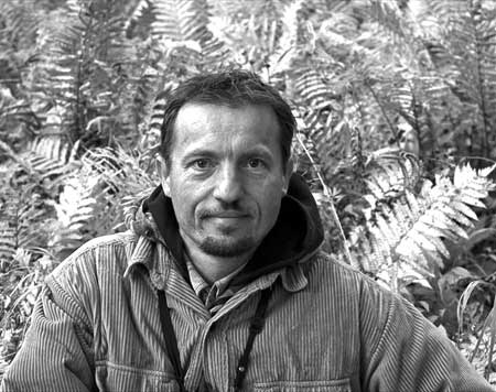 Под знаком тигра Под знаком тигра