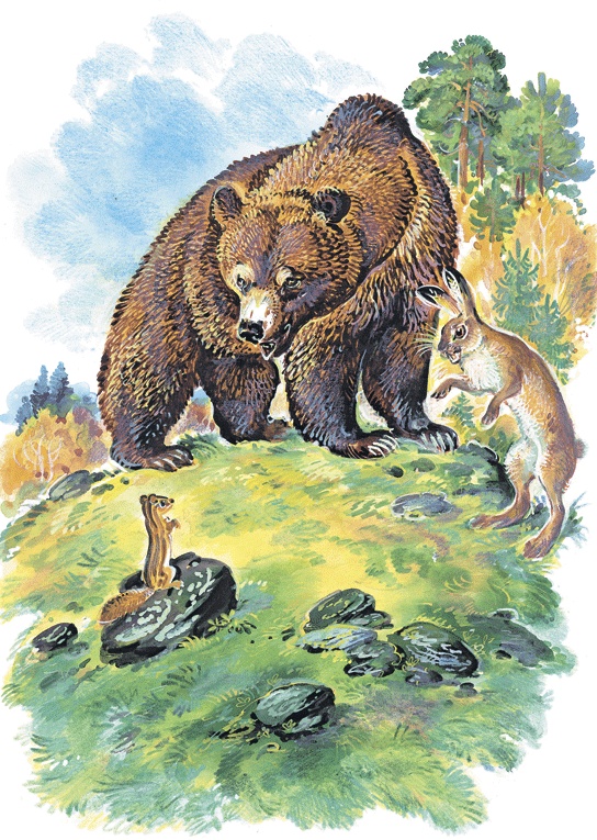Лесные сказки Лесные сказки