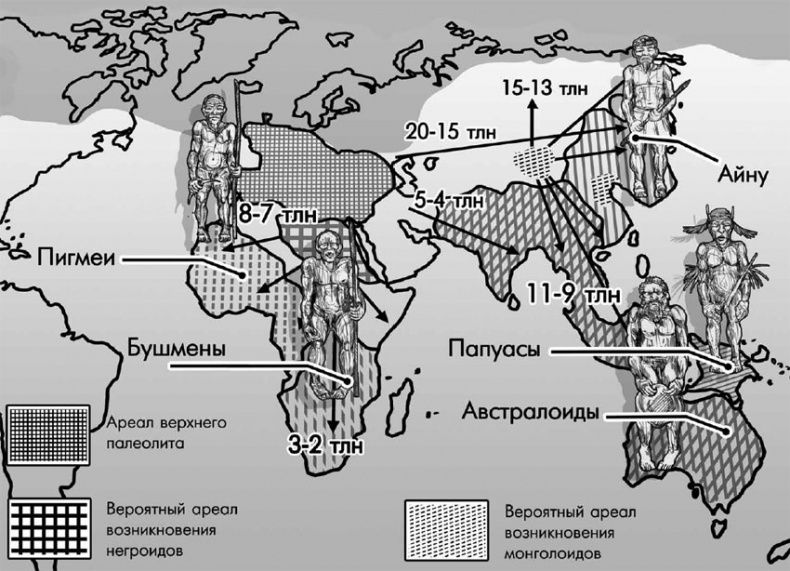 Разные человечества. Эволюция. Разум. Антропология Разные человечества. Эволюция. Разум. Антропология