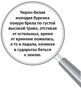 Убийство под микроскопом: записки судмедэксперта Убийство под микроскопом: записки судмедэксперта