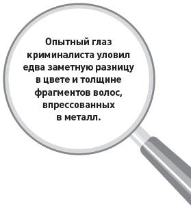Убийство под микроскопом: записки судмедэксперта Убийство под микроскопом: записки судмедэксперта