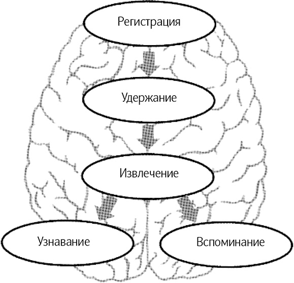 Как говорить, чтобы вас слушали Как говорить, чтобы вас слушали