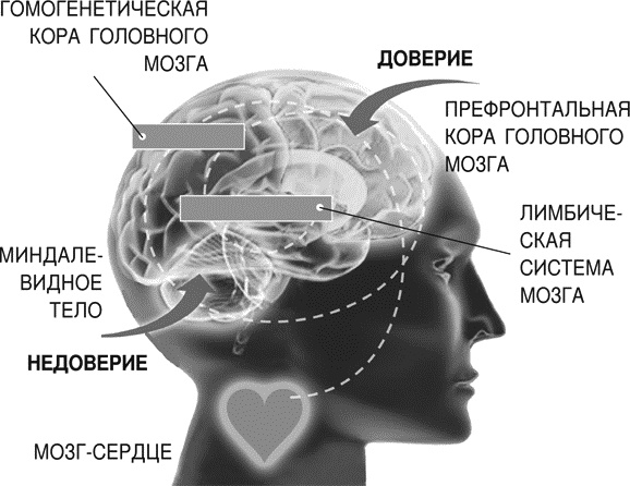 Идеальные переговоры Идеальные переговоры