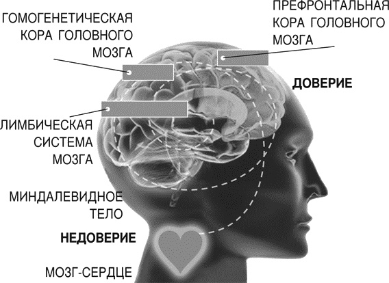Идеальные переговоры Идеальные переговоры