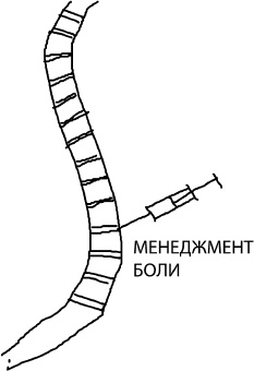 Большая книга упражнений для спины. Комплекс "Умный позвоночник" Большая книга упражнений для спины. Комплекс "Умный позвоночник"