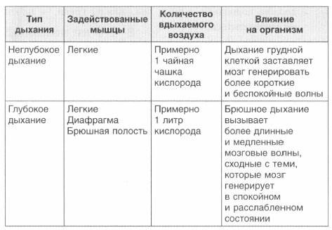 Год, прожитый правильно. 52 шага к здоровому образу жизни Год, прожитый правильно. 52 шага к здоровому образу жизни