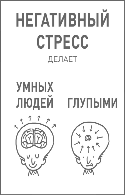 Мозг освобожденный. Как предотвратить перегрузки и использовать свой потенциал на полную мощь Мозг освобожденный. Как предотвратить перегрузки и использовать свой потенциал на полную мощь