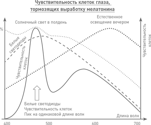 Мозг освобожденный. Как предотвратить перегрузки и использовать свой потенциал на полную мощь Мозг освобожденный. Как предотвратить перегрузки и использовать свой потенциал на полную мощь