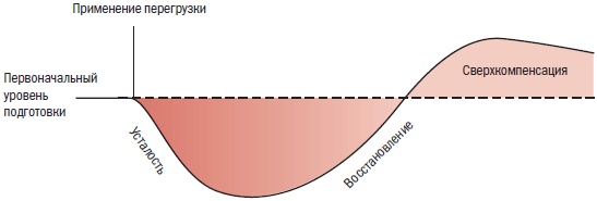 Библия велосипедиста Библия велосипедиста