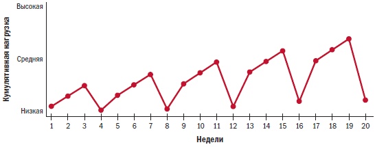 Библия велосипедиста Библия велосипедиста