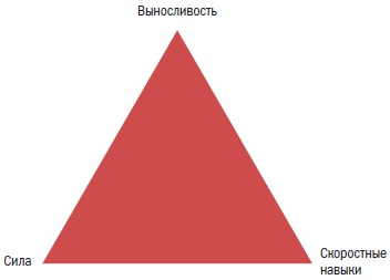 Библия велосипедиста Библия велосипедиста