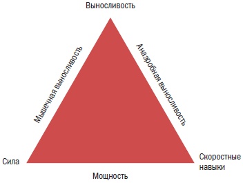 Библия велосипедиста Библия велосипедиста