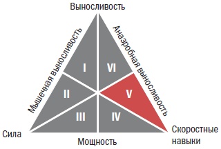 Библия велосипедиста Библия велосипедиста