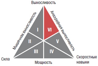 Библия велосипедиста Библия велосипедиста